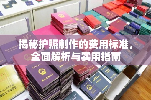 梁园揭秘护照制作的费用标准，全面解析与实用指南