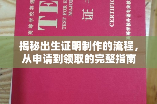 梁园揭秘出生证明制作的流程，从申请到领取的完整指南